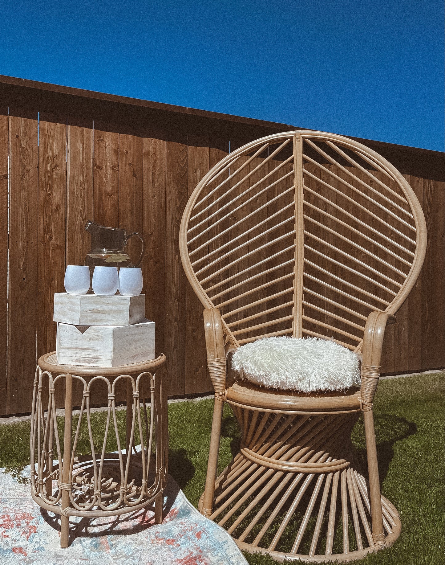 Peacock Chair